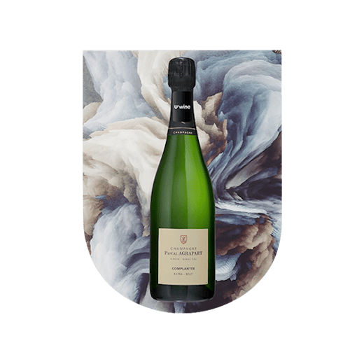 Champagne Pascal Agrapart Complantée on sale
